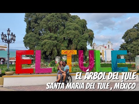 Santa María del Tule  | Oaxaca, Mexico | Travelvlog |