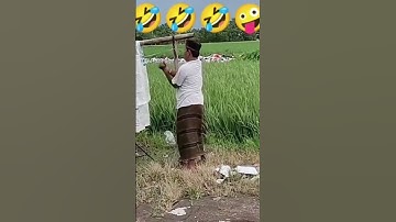 NGAKAK BANGET !! VIDEO LUCU TIKTOK BAPAK BAPAK JOGET JOGET PINGGIR SAWAH #shorts #videolucuterbaru