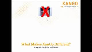Celebrity XanGo Compensation Plan Profile