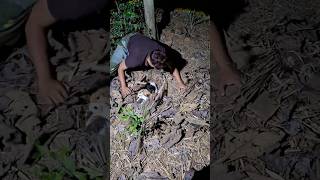 wow that's a lot #funnyanimals #awesomethings #cuteanimals #entertaininganimals #funnyvideos Profile