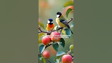 ﴿ وَإِذْ قَالَ إِبْرَٰهِـۧمُ ﴾سورة إبراهيم – الآية 35 للشيخ #ادريس_ابكر #ارح_قلبك #القرآن_الكريم