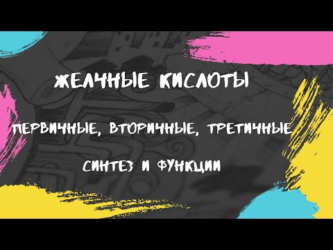 Видео: Что такое конъюгированные желчные кислоты?