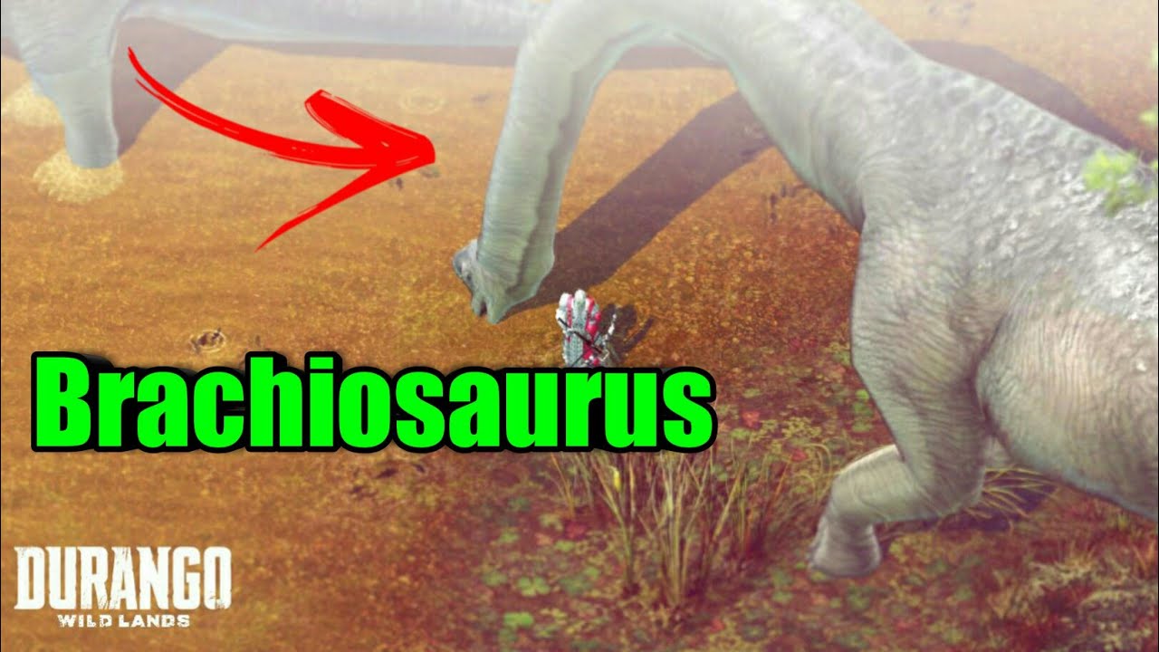 Durango : Wild Lands - Ilha PVP lvl60 tropical - ( Gameplay PT/BR )