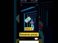 reverse proxy #network #computer #computerscience #youtubeshorts #windows #excel #computernetworking