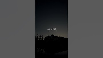 تلاوة خاشعة للقرآن الكريم فضيلة الشيخ د.هاشم ابو دلال ✨