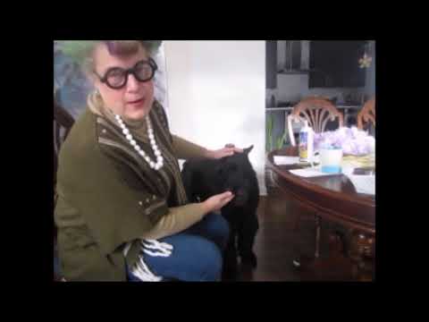 Laughs w/Madge Jablonski w/Dino "La Protagonista"