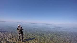 Рыбалка с гидом на Байкале лето - август