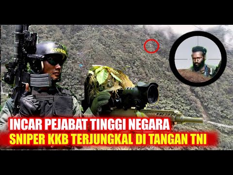 Video: Senapan dalam pertempuran