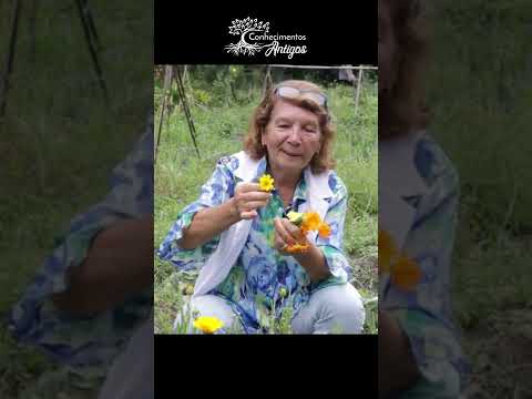 Vídeo: Flores de calêndula comestíveis: aprenda a cultivar calêndulas para comer