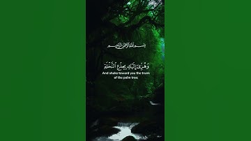 نداء الطمأنينة تلاوة تؤثر الروح #عبد_الباسط_عبد_الصمد