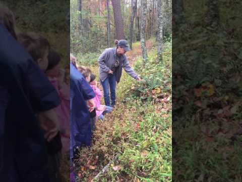 Yadkin Valley Community School Lesson on Plants