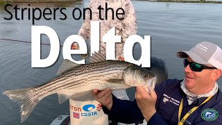 Stripers on the Delta w/ Bryce Tedford