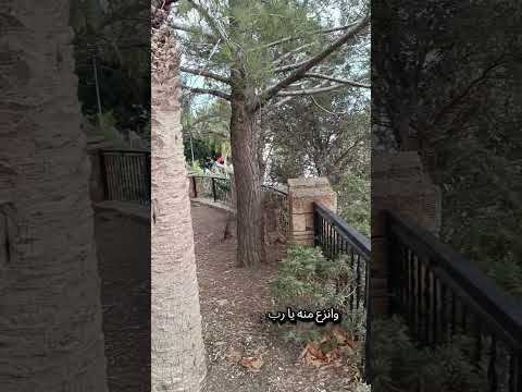 اللهم اجعل بيتي بيت رحمة  اللهم اجعل بيتي بيت رحمة