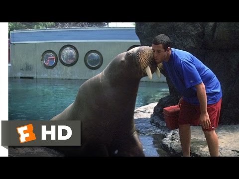 bon-voyage-henry---50-first-dates-(7/8)-movie-clip-(2004)-hd