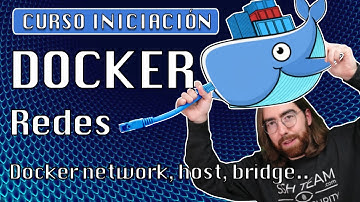 11. Redes, principales tipos, segregación de red en Docker network - Curso gratuito en español 2024