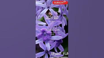 سورة الأنعام #القرآن_الكريم #اكسبلور #تيك_توك #المغرب #دويتو #متابعه #لايك#ترند #الجزائر#حالات_واتس