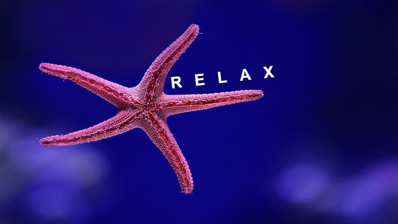 Inner Peace -Relaxation & Sleeping -Guitar And Sea Sounds In Paradise #11