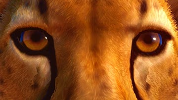 85 Years Building an Ethical Zoo in Planet Zoo | Supercut