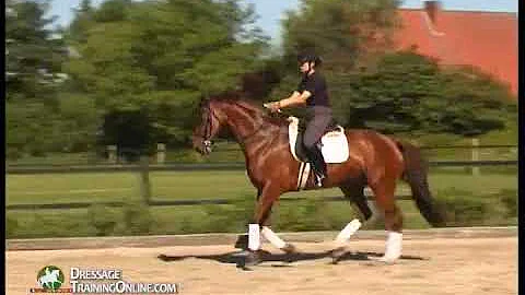 Catherine Haddad on opening up the back and gainin...