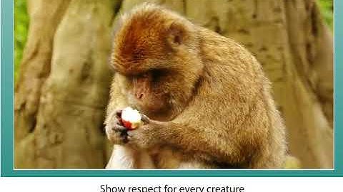 Excel 8 Module 1 Nature`s Power