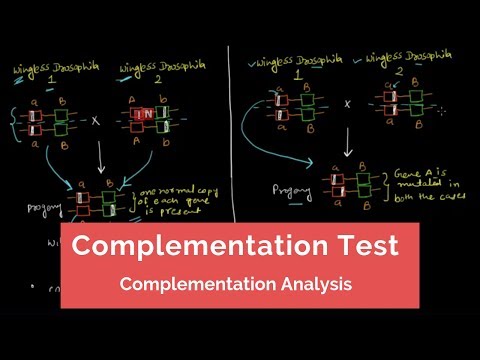 Video: Apa tujuan dari tes komplementasi?