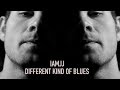 Iamjj  different kind of blues official