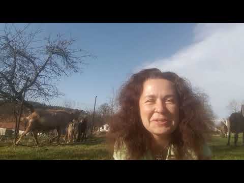 Video: Soběstačný život Ve Vesnicích ReGen