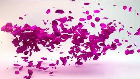 528 c2 -Petals Logo Reveal beauty opening intro V2 any colors