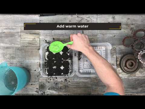 Starting a Garden on a Budget by KSUSportsRec