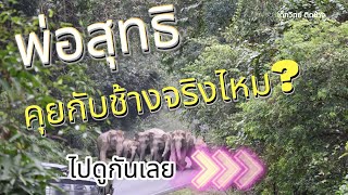 ที่เขาว่าพ่อสุทธิคุยกับช้างป่าได้ จริงไหม!? ดูให้จบ