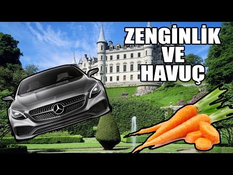 Zenginlik Ve Havuç | VLOG