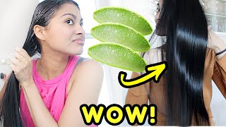 I left ALOE VERA on my hair for 24 hours & THIS HAPPENED!