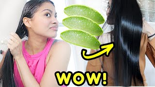 I left ALOE VERA on my hair for 24 hours & THIS HAPPENED! screenshot 2