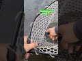 método muy efectivo #pesca #pescachile #fishinglife #surdechile #trucha