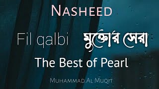 Fil qalbi || মুক্তোর সেরা || Muhammad Al Muqit