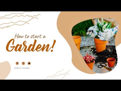 Gardening 101 Tips for a Thriving Garden - YouTube