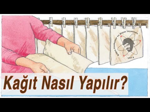 Kağıt Nasıl Yapılır?  #ÇılgınMinikler 4. Bölüm