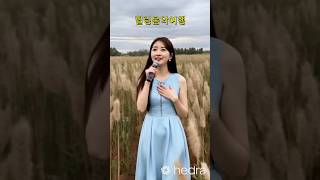 힐링음악여행 | 숨어우는 바람소리 전유진