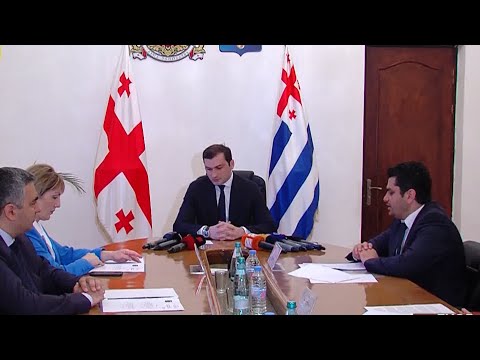 რა თქვა თორნიკე რიჟვაძემ მთავრობის სხდომაზე