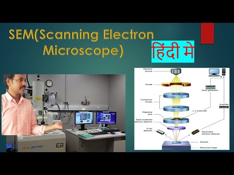 Scanning Electron Microscope|