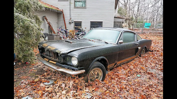 Recovered: 1966 Shelby Mustang GT350H sunk in Ohio...