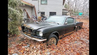 Recovered: 1966 Shelby Mustang GT350H sunk in Ohio backyard 40 years