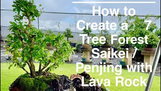 How to Create a 7 Tree Saikei / Penjing with Lava Rock