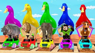 5 Giant Duck, Monkey, Piglet, chicken, dog, cat, cow, Sheep, Transfiguration funny animal 2023