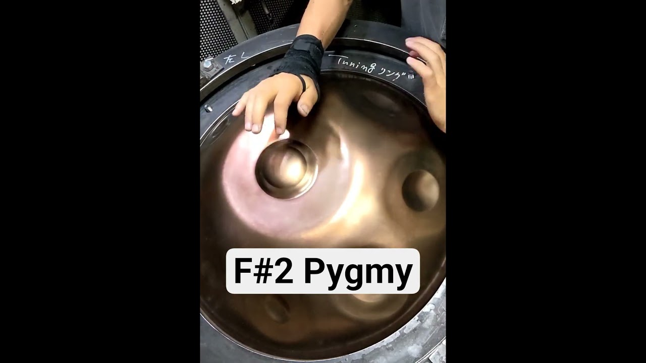 F#2 Pygmy/プリチューニング1回目