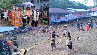 PERNIKAHAN ADAT SUKU DAYAK PUNAN HOVONGAN