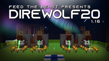 Direwolf20 1.16 Let