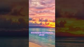 #SHORTS Detox de Pantallas: Meditación Guiada para Activar tu Glándula Pineal | MENTE-KI
