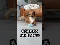 絶対に溶けないアイスをなんでも溶かす石においても溶けないはず！