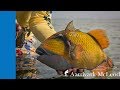 Flat Out Strange - Fly Fishing For Trigger Fish In Sudan